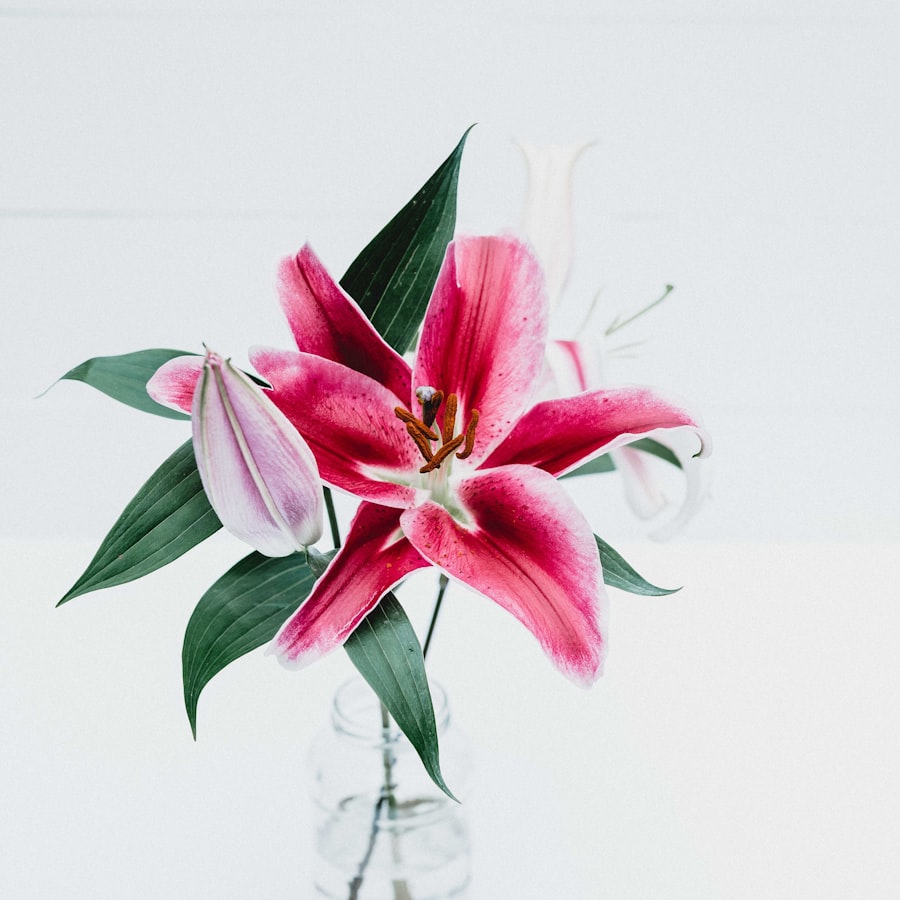A deep pink lily with green leaves in a glass bottle