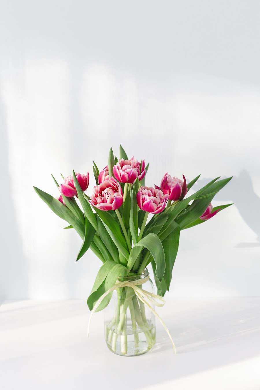 Pink double tulips arranged in a glass vase